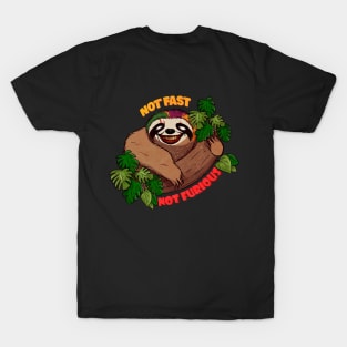 Not Fast Not Furious, Funny Sloth T-Shirt